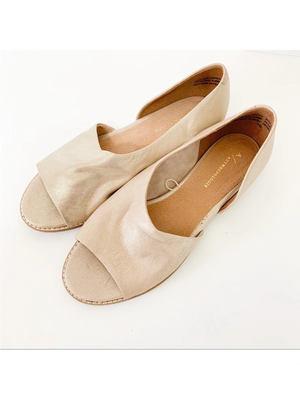 Anthropologie soft open